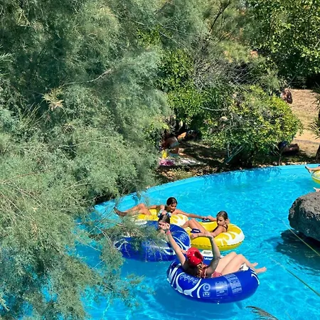 Villa Les Trois Oliviers *